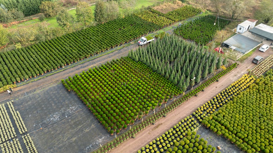 An aerial view of a plant nursery situated in a rural area with rows of neatly arranged, lush green coniferous and broadleaf plants on either side of a central dirt path. A white van with a company logo is parked along the road, suggesting a home relocation or furniture transport vehicle for moving services. The surrounding environment includes a small industrial building with a flat roof, additional plant beds, and nearby trees. The image captures the outdoor loading area and the scale of the nursery, highlighting the careful organization of plants awaiting transportation or relocation. The scene represents the logistical process involved in packing and moving plants and related greenery, supporting the context of house removals or garden nursery relocations as potentially featured on the page about best times to relocate around Crews Hill garden nurseries, CREWS HILL, provided by Man with Van Crews Hill.