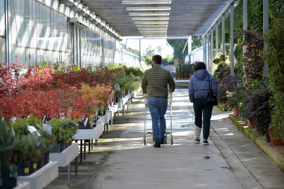 A man with long hair tied back, wearing a plaid shirt, beige t-shirt, and blue jeans, is pushing a black hand trolley loaded with multiple potted plants, including shrubs and small trees, inside a greenhouse. The greenhouse has a green metal frame and transparent roof panels, with rows of potted plants and gardening supplies visible in the background. The man is using gloves and appears focused on handling the plants carefully during the home relocation process. This image reflects the type of ongoing packing, loading, or transport activities associated with house removals and furniture transport services offered by Man with Van Crews Hill, particularly relating to garden and outdoor items during the moving process.