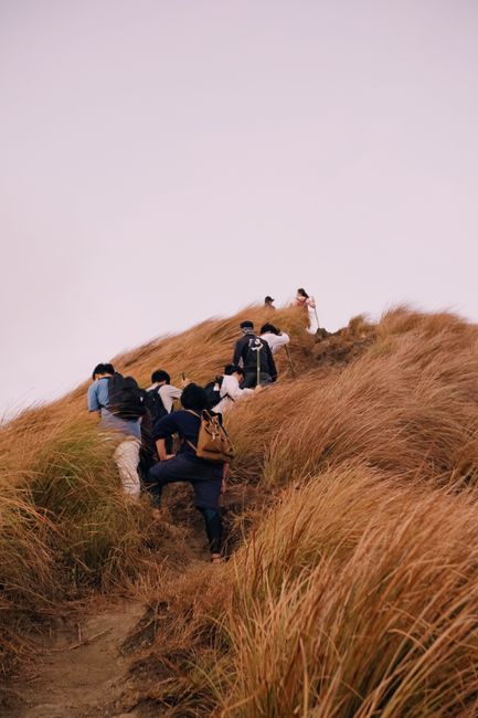 A group of eight individuals engaged in a home relocation process outdoors, ascending a narrow dirt path through tall, golden-brown grasses on a hillside under an overcast sky. They are dressed in casual clothing, with some wearing backpacks and others carrying large cardboard boxes wrapped in protective materials, likely containing household items. Several movers are using lifting equipment such as trolleys and straps to assist with transporting heavy furniture or boxes along the uneven terrain. In the background, additional people can be seen further along the path, possibly assisting with the packing and moving process. The natural environment and outdoor setting indicate an early stage of a house removal, potentially involving the transport of furniture and belongings from a property to a moving vehicle. This scene illustrates a challenging and physically demanding part of furniture transport during a house removal, with Man with Van Crews Hill experienced in managing such logistics effectively.