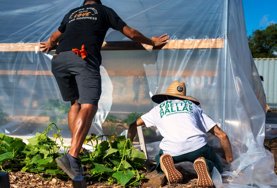 Two workers are engaged in an outdoor moving activity involving a greenhouse. The worker on the left is standing and wearing a black t-shirt and shorts, holding a plastic sheet or covering that is draped over the greenhouse frame. The worker on the right is kneeling on the ground, wearing a wide-brimmed straw hat, a white t-shirt with green text promoting a restaurant, and casual trousers. They are surrounded by leafy green plants growing in the soil, and the greenhouse is constructed with wooden frames and transparent plastic sheeting. The scene occurs in a sunny environment with clear blue skies, with the greenhouse situated on a paved or gravel surface. The activity appears to be part of a garden or home relocation project, with the workers carefully managing the coverings to protect or prepare the greenhouse for transport or assembly, in line with professional removals and moving services offered by Man with Van Crews Hill.
